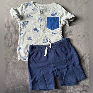 Carter's Gray and Blue Matching Set
